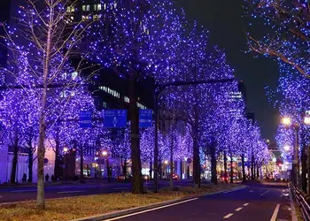 Ejemplo de una calle en Japón.