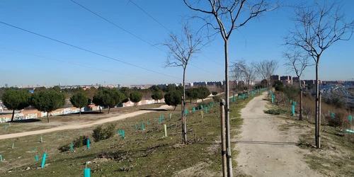 Vistas del camino tras cementerio