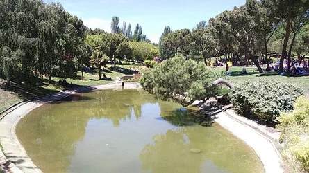 El agua del estanque se va ensuciando y acaba desprendiendo malos olores. Los mosquitos encuentran un lugar perfecto para su cría