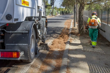 STOP USO DE SOPLADORES DE HOJAS EN LIMPIEZA DE CALLES